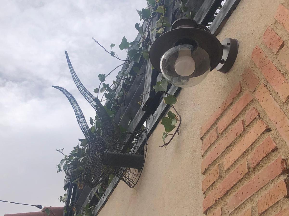 Casa Rural Atelier - Jardin Y Terraza Velliza エクステリア 写真