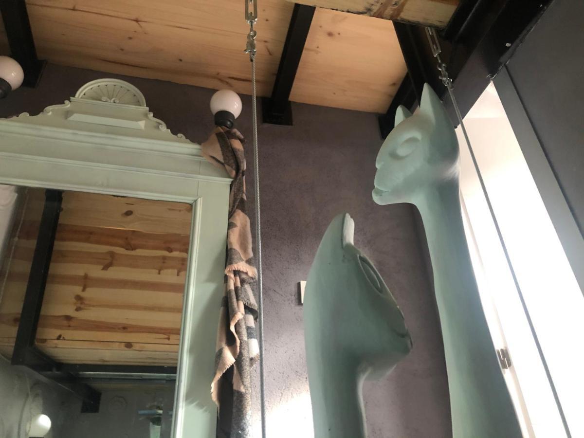 Casa Rural Atelier - Jardin Y Terraza Velliza エクステリア 写真