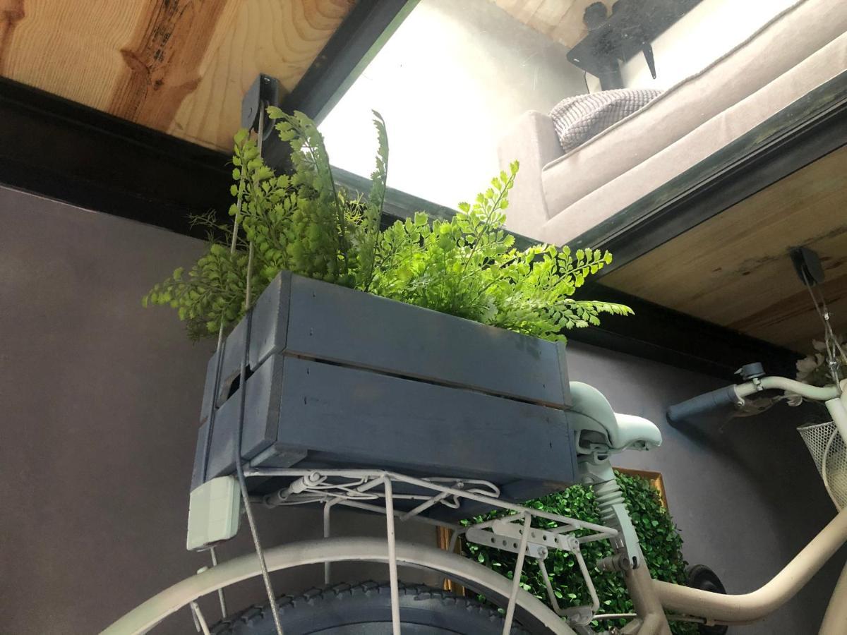 Casa Rural Atelier - Jardin Y Terraza Velliza エクステリア 写真