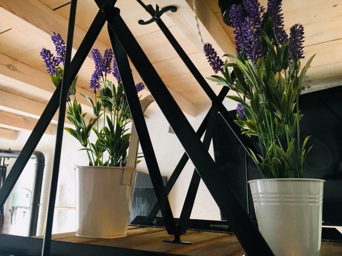 Casa Rural Atelier - Jardin Y Terraza Velliza エクステリア 写真
